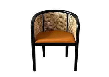 KVJ- 9152 wood rattan armchair